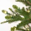 6′ Alberta Spruce Christmas Tree w/300 Warm White Dura-lit LED